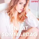 En lat sommardag - erotiska noveller af Cupido