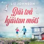 Där två hjärtan möts af Liz Johnson
