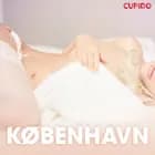 København – erotiske noveller af Cupido
