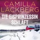 Die Eisprinzessin schläft af Camilla Läckberg