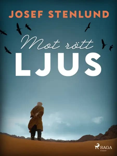 Mot rött ljus af Josef Stenlund