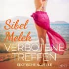 Verbotene Treffen - Erotische Novelle af Sibel Melek