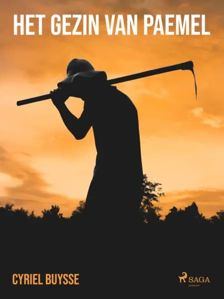 Het gezin Van Paemel af Cyriel Buysse