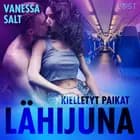 Kielletyt paikat: Lähijuna - Eroottinen Novelli af Vanessa Salt