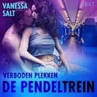 Verboden plekken: De pendeltrein - Een erotisch verhaal af Vanessa Salt