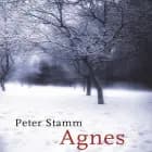 Agnes af Peter Stamm
