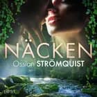 Näcken - erotisk fantasy af Ossian Strömquist