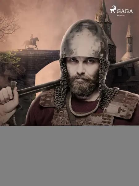 De vernuftige jonkheer Don Quijote van de Mancha af Miguel Cervantes de Saavedra