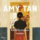 Keittiöjumalan vaimo af Amy Tan