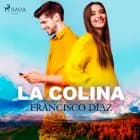 La colina af Francisco Díaz Valladares