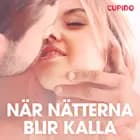 När nätterna blir kalla - erotiska noveller af Cupido