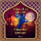 Páfagaukur konungur (Þúsund og ein nótt 23) af Ýmsir