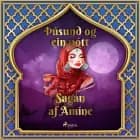 Sagan af Amíne (Þúsund og ein nótt 35) af Ýmsir