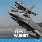 Flyvevåbnet af Karsten Marrup og Søren Hemmingsen