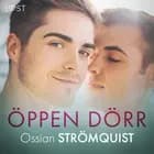Öppen dörr - erotisk novell af Ossian Strömquist