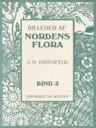 Billeder af Nordens flora. Bind 3 af C.H. Ostenfeld og A. Mentz