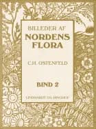 Billeder af Nordens flora. Bind 2 af C.H. Ostenfeld og A. Mentz