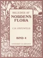 Billeder af Nordens flora. Bind 4 af C.H. Ostenfeld og A. Mentz