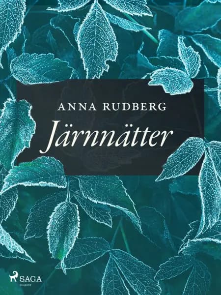 Järnnätter af Anna Rudberg