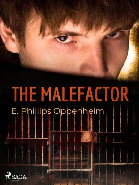 The Malefactor af Edward Phillips Oppenheimer