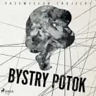 Bystry potok af Przemysław Chojecki