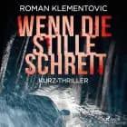 Wenn die Stille schreit af Roman Klementovic