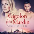 Gigolon från Mardin - erotisk novell af Sibel Melek
