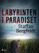 Labyrinten i paradiset af Staffan Bergfeldt