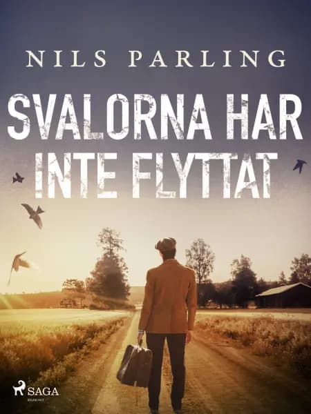 Svalorna har inte flyttat af Nils Parling