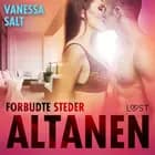 Forbudte steder: Altanen - erotisk novelle af Vanessa Salt