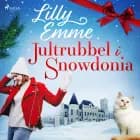 Jultrubbel i Snowdonia af Lilly Emme
