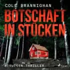 Botschaft in Stücken: Norwegen-Thriller af Cole Branninghan