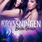 Kryssningen - erotisk novell af Bella Noche