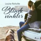 Blinde vinkler af Louise Roholte