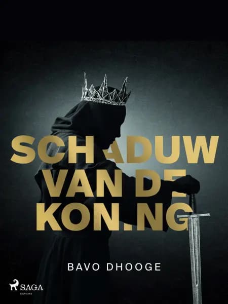 Schaduw van de koning af Bavo Dhooge