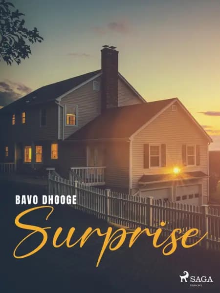 Surprise af Bavo Dhooge