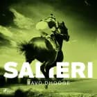 Salieri af Bavo Dhooge