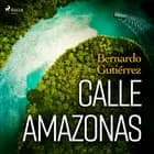 Calle Amazonas af Bernardo Gutiérrez González