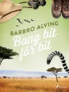 Bang bit för bit af Barbro Alving