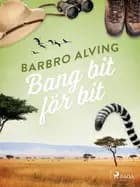Bang bit för bit af Barbro Alving
