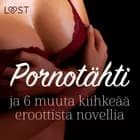 Pornotähti ja 6 muuta kiihkeää eroottista novellia af Camille Bech, Terne Terkildsen og Fabien Dumaître