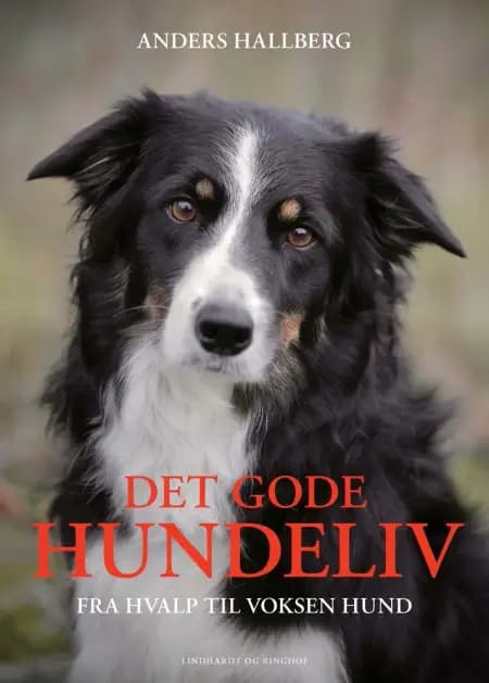Det gode hundeliv af Anders Hallgren