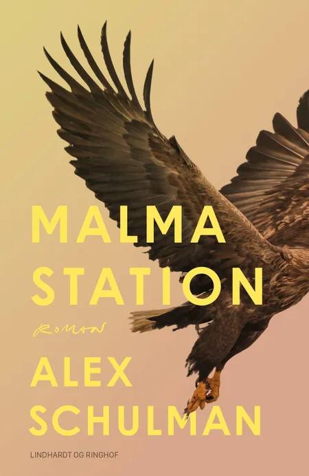 Malma station af Alex Schulman