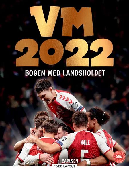 VM 2022 - bogen med landsholdet af Ole Sønnichsen