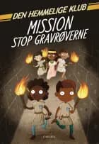 Den Hemmelige Klub: Mission stop gravrøverne af S J King