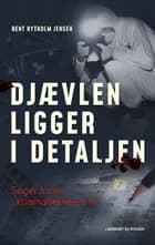 Djævlen ligger i detaljen af Bent Hytholm Jensen
