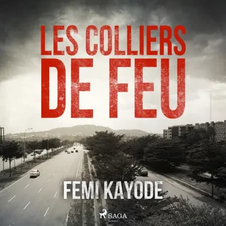 Les Colliers de feu af Femi Kayode