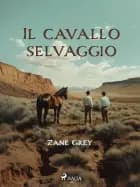 Il cavallo selvaggio af Zane Grey