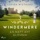 En natt att glömma af Lovisa Wistrand