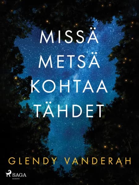 Missä metsä kohtaa tähdet af Glendy Vanderah